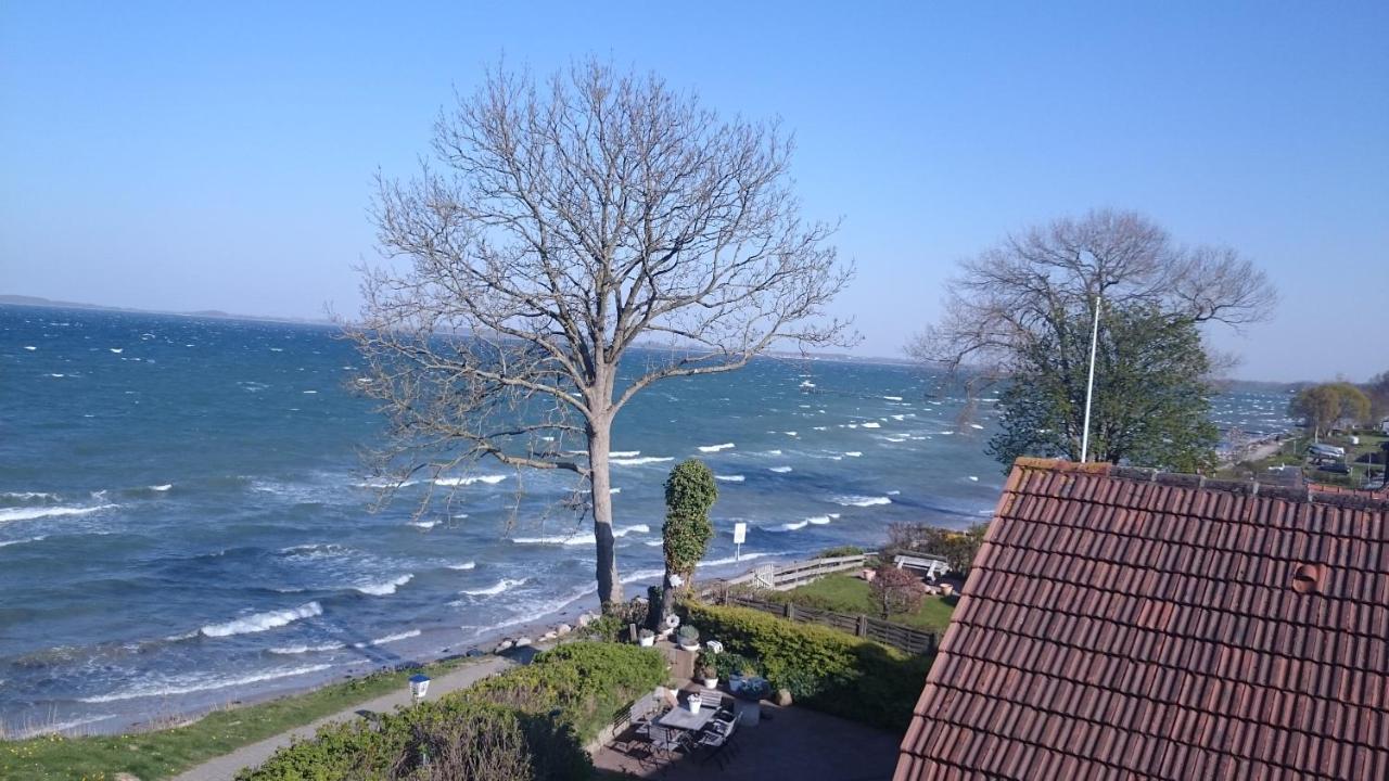 Strandappartements Steinberghaff "Kegnaes" Mit Meerblick Und Sauna Steinberg  Ngoại thất bức ảnh